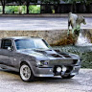 Meet your Posher, Randy